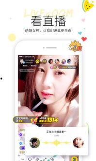 娱乐吃瓜酱电子版,揭秘娱乐圈幕后故事