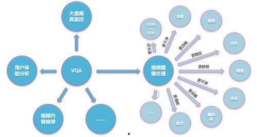 视频分析,揭示事件背后的真相与细节